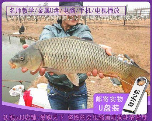 如何快速掌握钓鱼方法与技巧？常见问题有哪些解答？