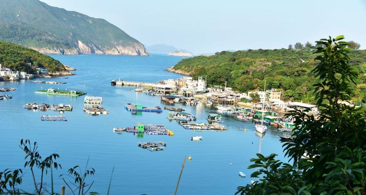 如何在清水湾掌握钓鱼方法与技巧？
