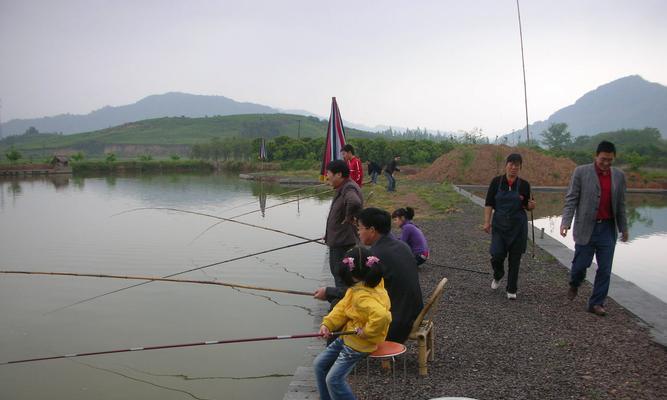 如何快速掌握钓鱼方法与技巧教程？常见问题有哪些？