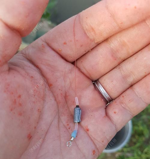 如何防止钓鱼时切线？掌握这些防切线技巧轻松应对！