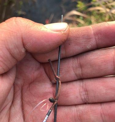 如何防止钓鱼时拔河？掌握这些技巧轻松应对！