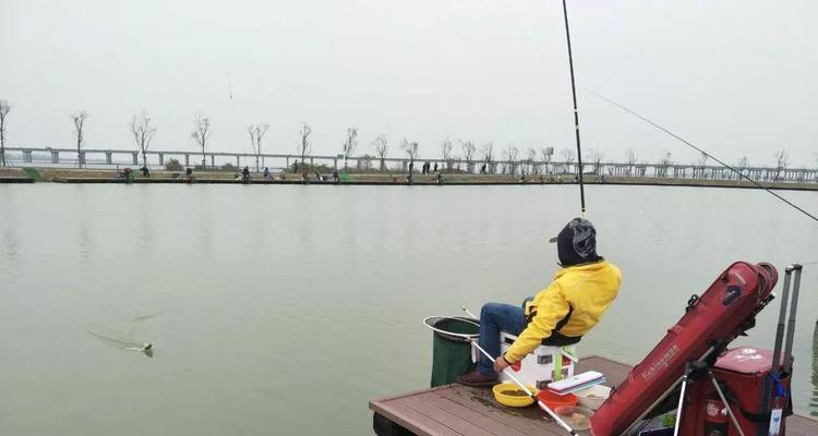如何防止钓鱼时跑鱼？掌握哪些技巧可以提高成功率？