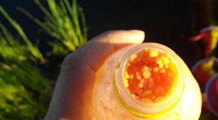钓鱼放底窝料技巧有哪些？如何正确使用窝料提高钓鱼效率？