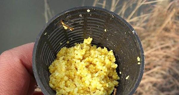 如何掌握钓鱼放水的正确方法？有哪些实用技巧？