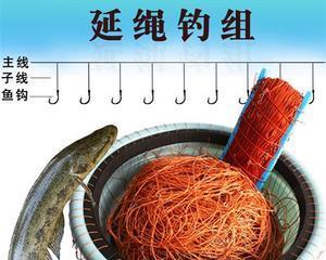 如何掌握钓鱼放长线的技巧？放长线钓鱼有哪些常见问题？