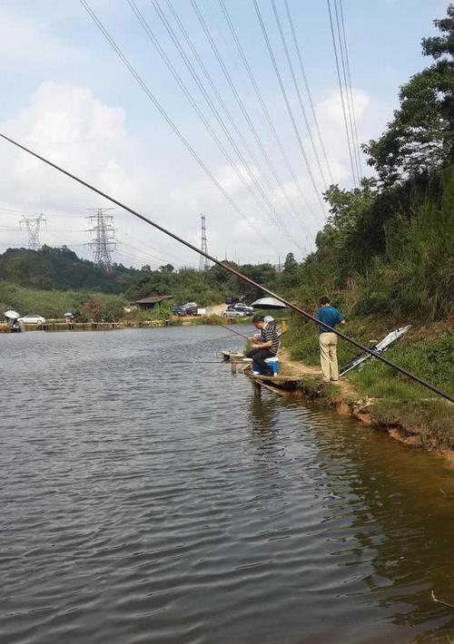 如何掌握浮钓罗飞的技巧？浮钓罗飞时常见的问题有哪些？