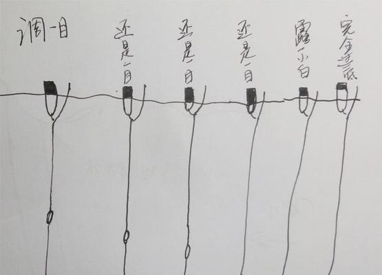 如何选择合适的钓鱼浮漂？使用技巧有哪些？