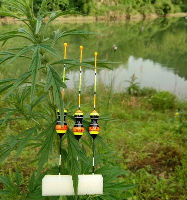 如何选择合适的钓鱼浮漂？使用技巧有哪些？