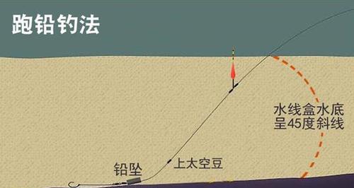 如何正确调整钓鱼浮漂？遇到问题怎么解决？