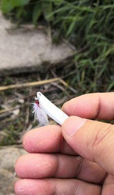 钓鱼杆子开光技巧法是什么？如何正确开光以提升钓鱼效果？