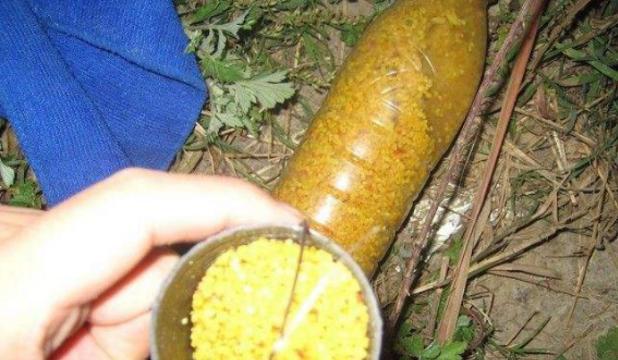 钓鱼竿实战技巧有哪些？如何提高钓鱼竿使用效率？