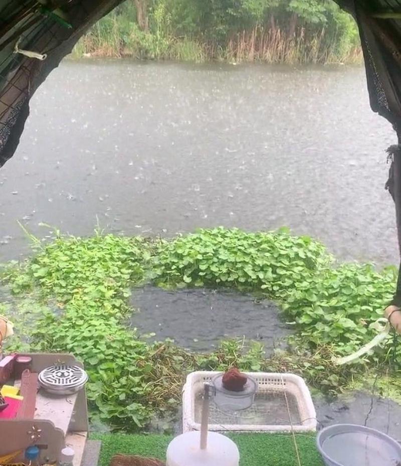 如何用钓鱼竿进行养鱼？养鱼时常见的问题有哪些？