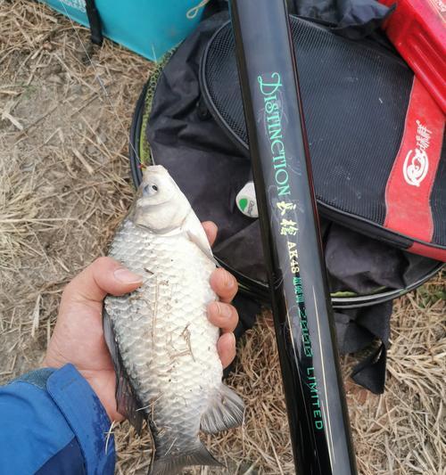 钓鱼竿怎么选择？掌握这些技巧轻松挑选合适钓竿！