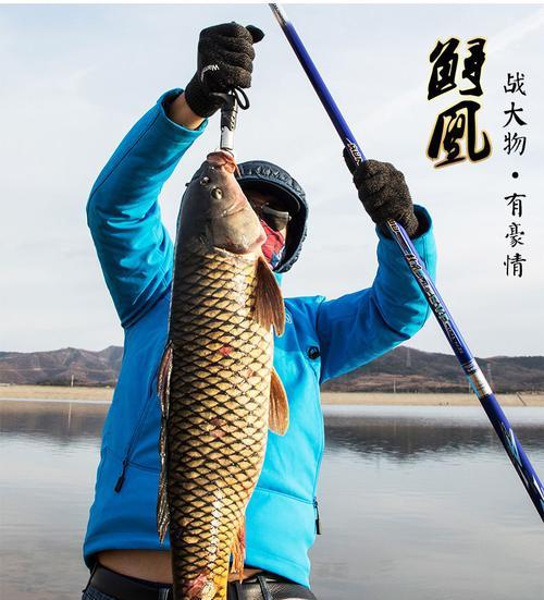 如何正确组装钓鱼竿？组装过程中常见的问题有哪些？