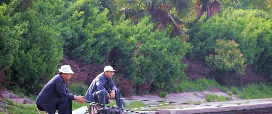 钓鱼高手才知道的小技巧有哪些？如何提高钓鱼效率？