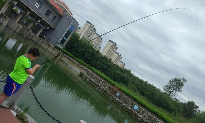 钓鱼高手的小技巧是什么？如何快速提升钓鱼技能？