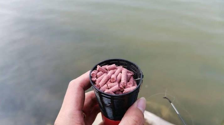 钓鱼高手讲解抛竿技巧？如何提高钓鱼成功率？