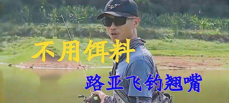 钓鱼高手教你小技巧？如何快速掌握钓鱼技巧？