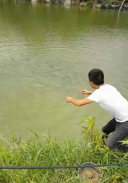 如何成为钓鱼高手？掌握哪些钓鱼技巧可以提高成功率？
