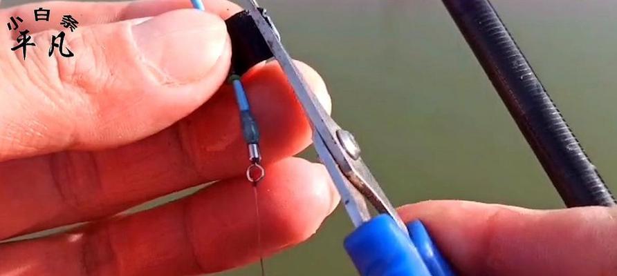 如何成为钓鱼高手？掌握哪些秒钓技巧能提高渔获？
