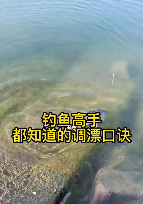 钓鱼高手去正规鱼塘钓鱼有哪些技巧？如何提高钓鱼成功率？