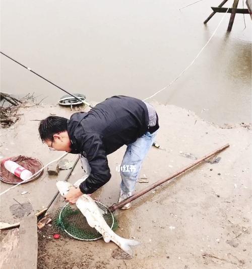 如何成为钓鱼高手？掌握哪些小技巧能提高钓鱼效率？
