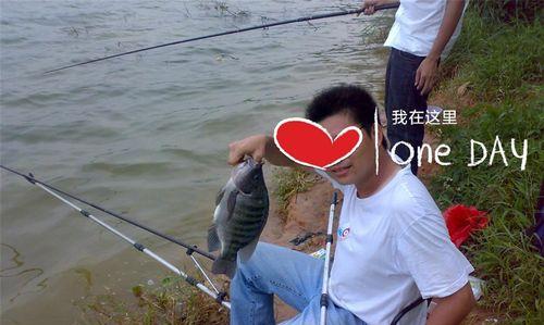 钓鱼高手在民间绝密技巧有哪些？如何快速掌握这些技巧？