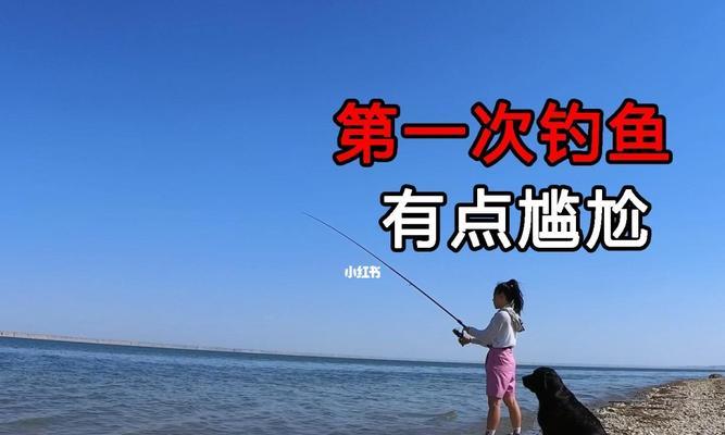 如何选择合适的钓鱼工具？掌握哪些技巧能提高钓鱼成功率？