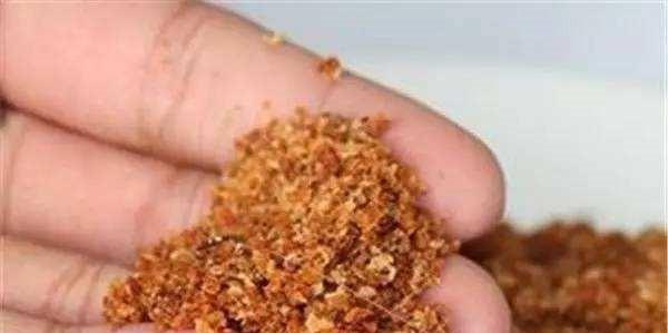 如何正确使用玉米作为钓鱼钩饵？玉米饵钓鱼有哪些常见问题？