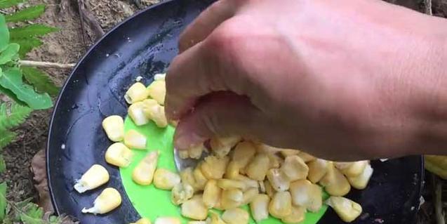如何正确使用玉米作为钓鱼钩饵？玉米饵钓鱼有哪些常见问题？