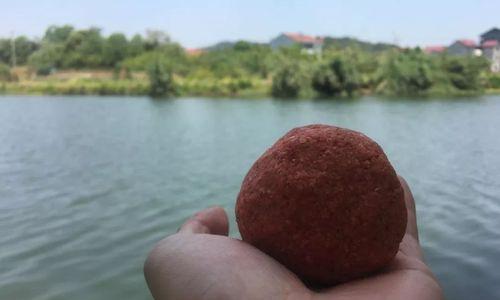如何正确挂饵和蚯蚓以提高钓鱼效率？常见错误有哪些？