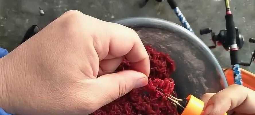 如何掌握钓鱼挂钩的最佳方法和技巧？