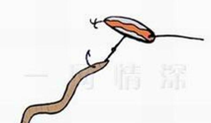 如何正确使用钓鱼挂钩？有哪些钓鱼挂钩技巧？