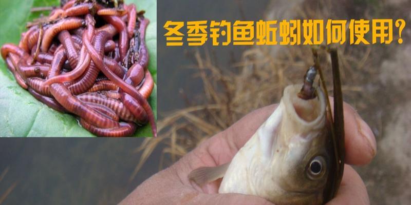 如何掌握钓鱼挂钩技巧？教学二中有哪些实用技巧？