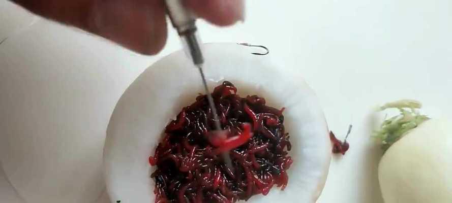 新手如何掌握钓鱼挂钩技巧？常见问题有哪些？