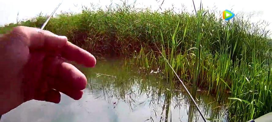如何选择最佳钓鱼挂钩？掌握这些小技巧轻松提高钓鱼效率？