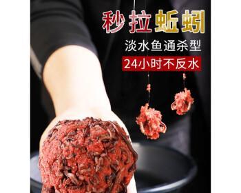 如何正确使用红虫作为钓鱼饵料？挂红虫有哪些常见问题及解决方法？