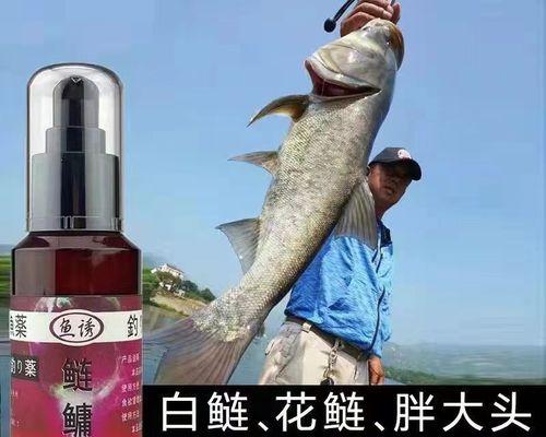 如何正确挂活饵钓鱼？挂活饵的技巧有哪些？