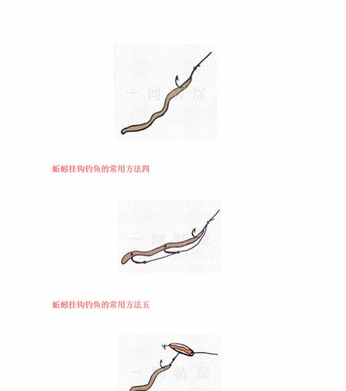 如何正确挂蚯蚓调漂？钓鱼中有哪些技巧？