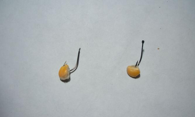 如何正确使用玉米钩进行钓鱼？掌握这些技巧提高成功率！