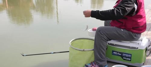 如何提升钓鱼技巧？掌握这些技巧能提高钓鱼成功率吗？