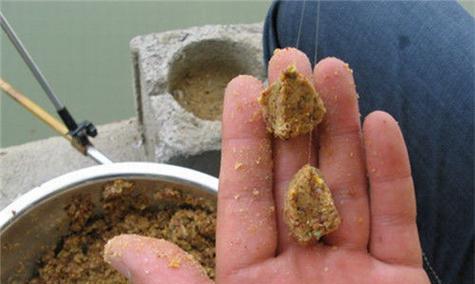 如何选择合适的钓鱼饵料？钓鱼饵料使用常见问题解答？