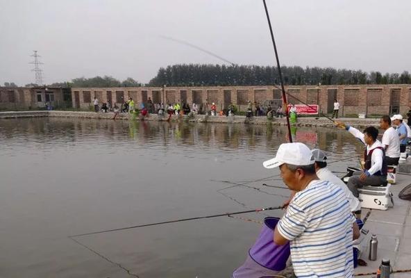 钓鱼黑坑打窝技巧有哪些？如何有效提高钓鱼成功率？
