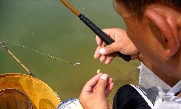 钓鱼黑坑调漂的正确方法与技巧是什么？如何提高钓鱼成功率？