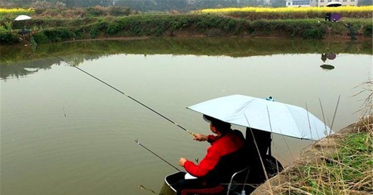 钓鱼黑坑抛竿技巧和方法是什么？如何提高抛竿准确性？