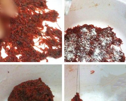 如何正确使用红虫挂钩技巧提高钓鱼效率？常见错误有哪些？