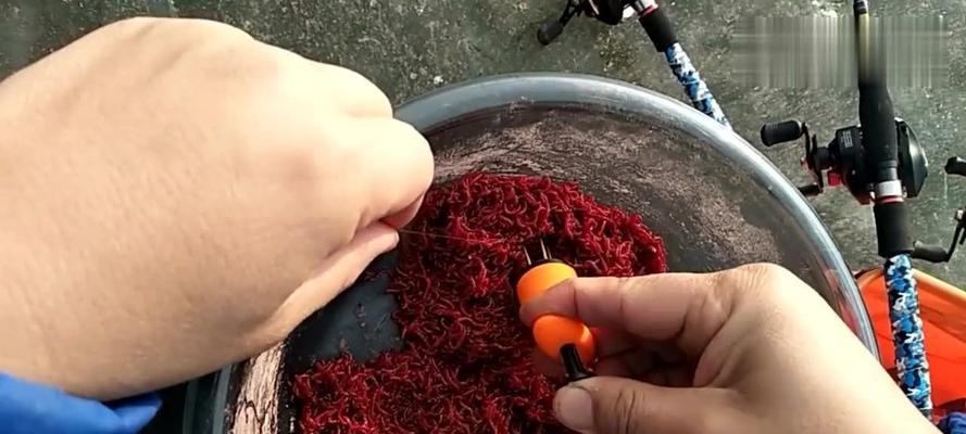 钓鱼红虫挂钩技巧是什么？如何正确使用红虫提高钓鱼效率？