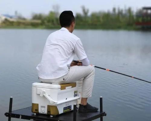 如何有效利用钓鱼宏提高钓鱼效率？常见问题有哪些？