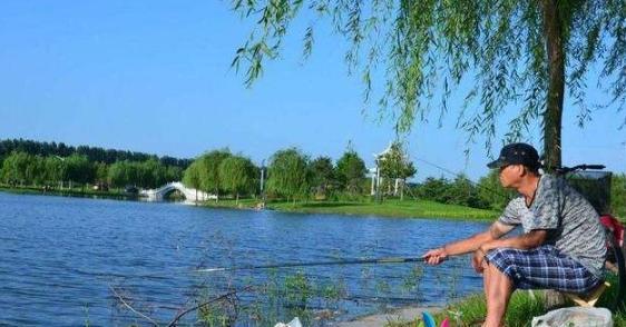 如何提高钓鱼互动的技巧？掌握这些技巧能钓到更多鱼吗？