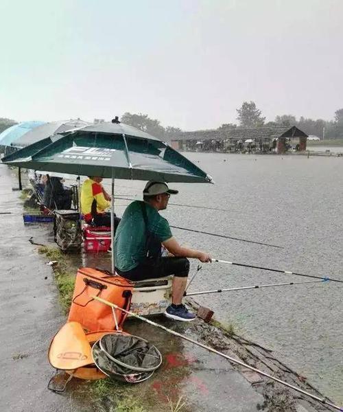如何提高钓鱼交流技巧？互相学习有哪些好处？